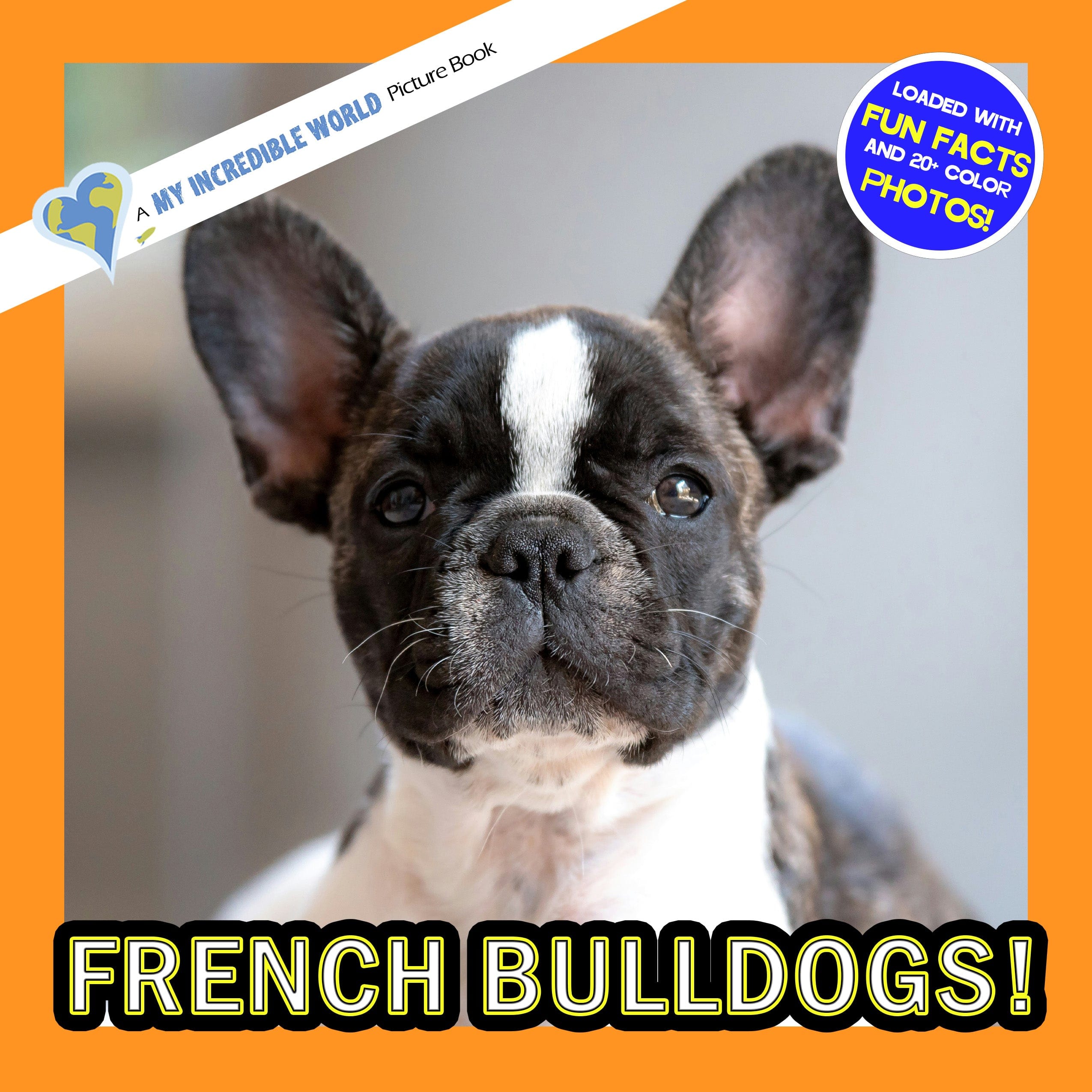 French Bulldogs! A My Incredible World Picture Book for Children